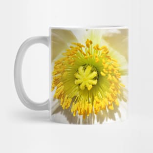 Single White Poppy Mug